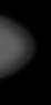 dog image 3